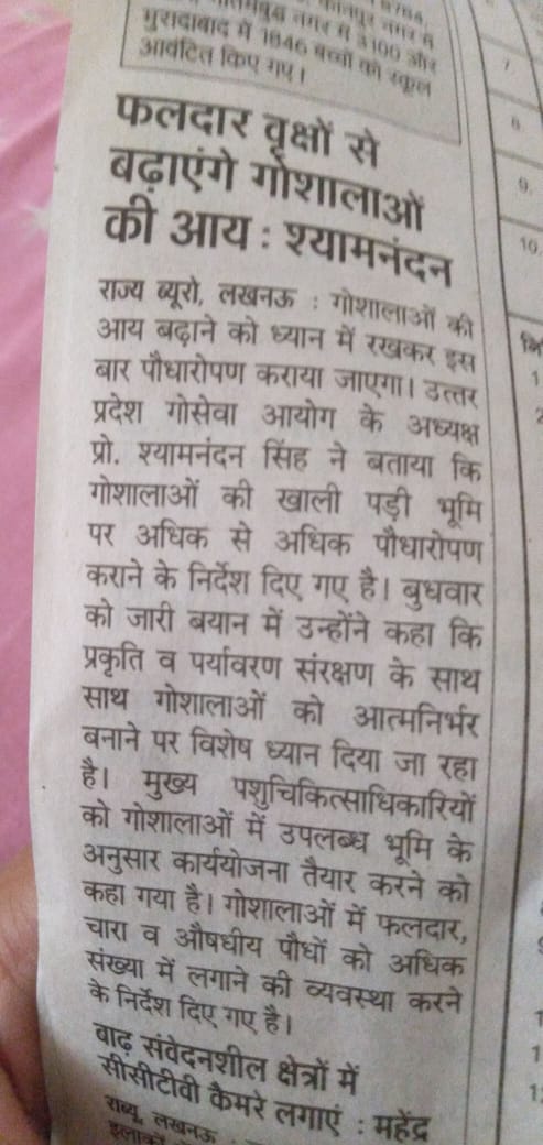 press_release
